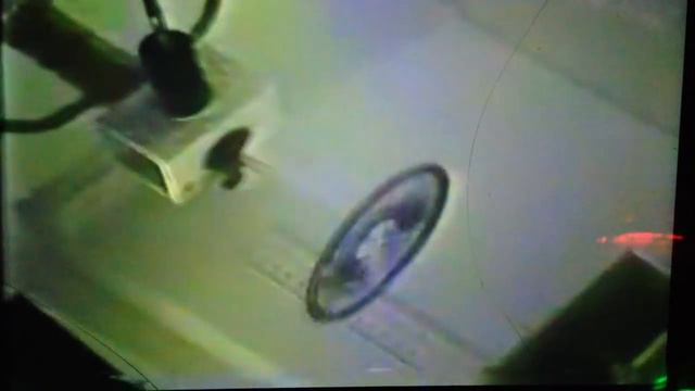 The Race 4 Disclosure Dr Steven Greer Vs Tom Delonge смотреть онлайн