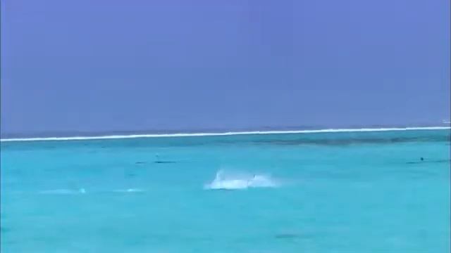 Туристические жемчужины   Бора Бора   Bora Bora