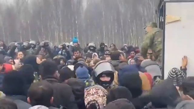 Раздача еды мигрантам у границы Польша-Беларусь смотреть онлайн