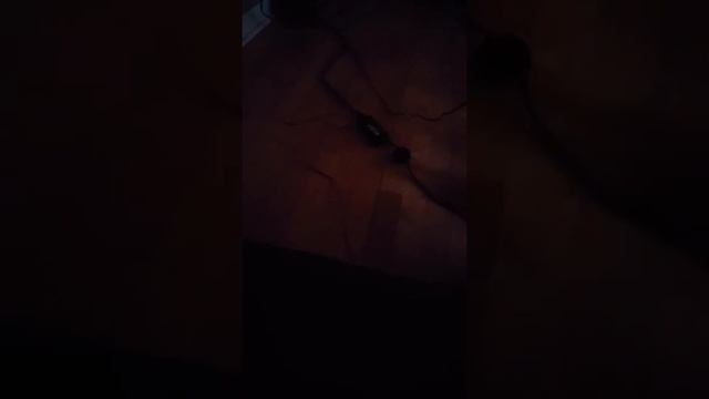 Fox minecraft skin смотреть онлайн