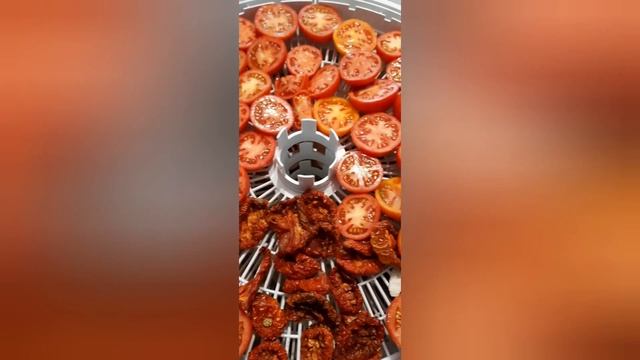нюансы при сушке помидор в сушилке смотреть онлайн
