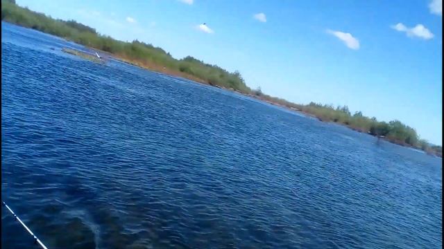 Хариус, рыбалка. Отличный клев. Еда на костре. Ночевка в палатке. Камчатка. Пенжина. Arctic Graylin смотреть онлайн