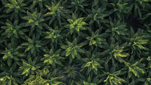 4k Drone Footage, Bird's Eye View Of Croatia, Europe -Ambient Drone Film. And No Copyright,