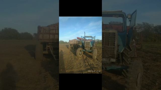 прицеп 2 птс 4 смотреть онлайн