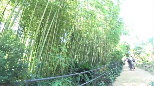 ЗА Бесплатно - Отдых на МИЛЛИОН .ТОП Курорт Льорет-де-Мар (Lloret de Mar) Испания смотреть онлайн