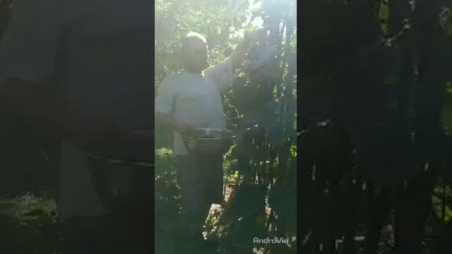 VID_20220814_085742_03.mp4