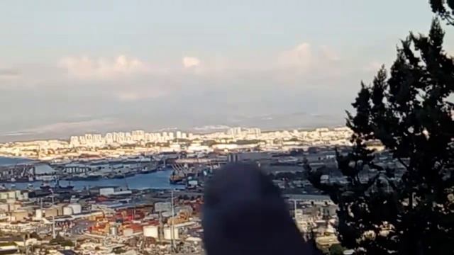 Хайфа - здесь я живу и работаю смотреть онлайн