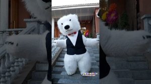 Белый медведь зажигает в Феодосии  Green Park