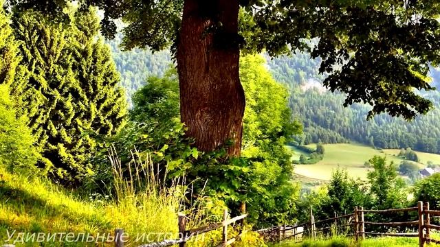 Узнав, что скрывал муж, Наташа приготовила ему сюрприз и тайно установила в его кабинете...