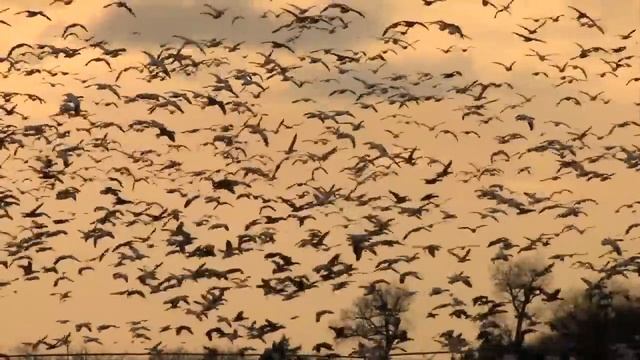 Silent Night Christmas 2015 смотреть онлайн