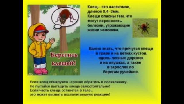 Правила безопасности летом.