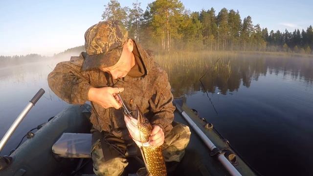 Рыбалка.Грибы.КАРЕЛИЯ.2023. смотреть онлайн