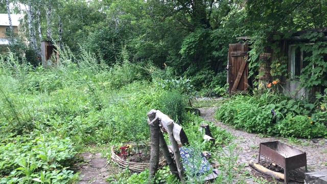 Дачные новости. Мылоед вернулся. Лень одолела, но дела сами себя не сделают смотреть онлайн