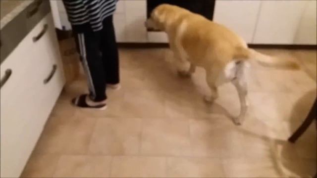 Бабика! Дай кушать!!! смотреть онлайн