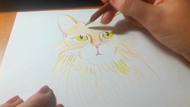 Как рисовать цветными карандашами. Кот. смотреть онлайн