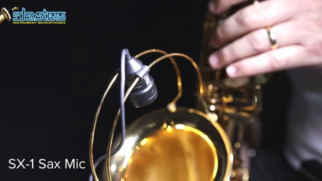 Review microfone para sax Sx1 sax mic SD SYSTEMS смотреть онлайн
