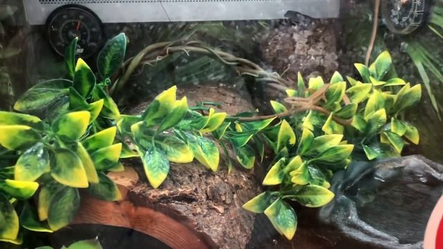 132# Магазин для животных в Америке..PetSmart..Что мы покупаем для своих питомцев.. смотреть онлайн