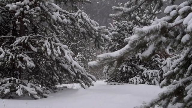 Очень нежный стих "Я пишу тихонечко стихи" смотреть онлайн