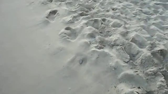 Изображение 277 смотреть онлайн