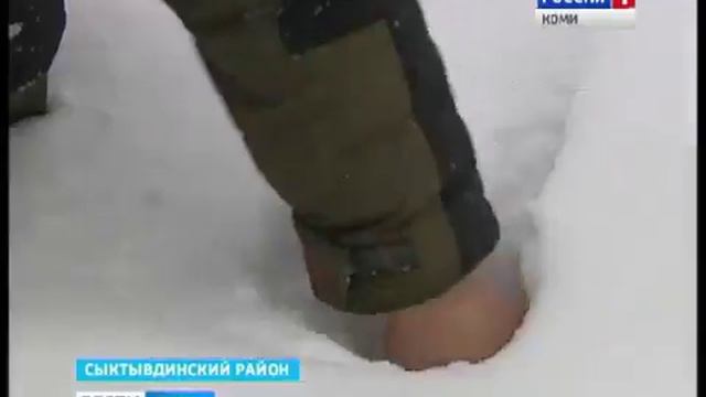 "Коми Гор" Учет диких животных смотреть онлайн