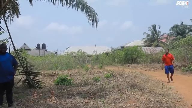 ????????? ???é???????? - ???? ???????? ?? ???????? смотреть онлайн