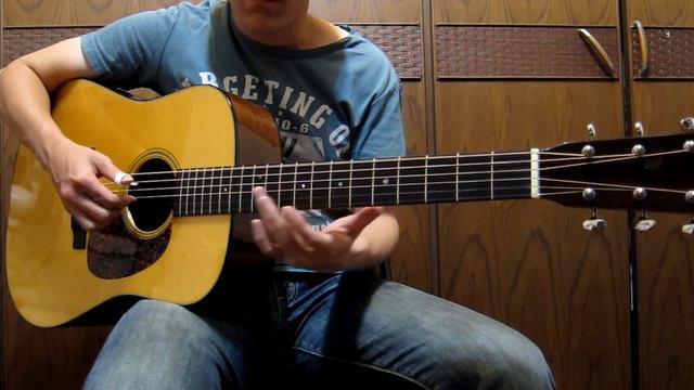 Martin D-18GE V.s. D-28 Marquis Madagascar Custom