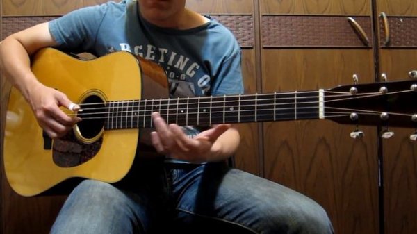 Martin D-18GE v.s. D-28 Marquis Madagascar Custom