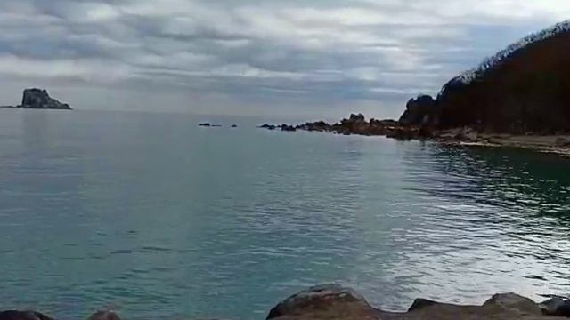 Чужие брюки или поправился? Обзор Saveliy Ad