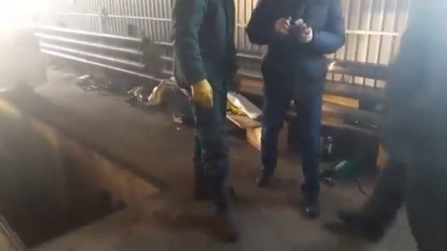 Разбивание хребтовой кости смотреть онлайн