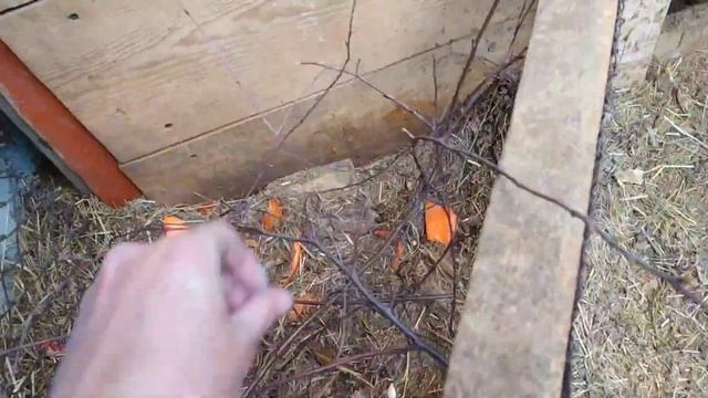 вернулись на заброшенную дачу что там твориться? огород с ноля ! мать крестьянка смотреть онлайн