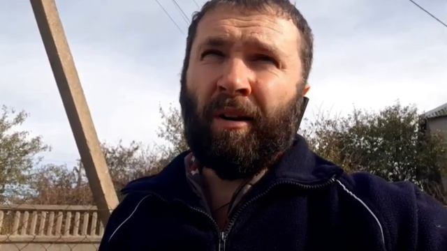 Итоги по обработке от клеща Варроа. смотреть онлайн