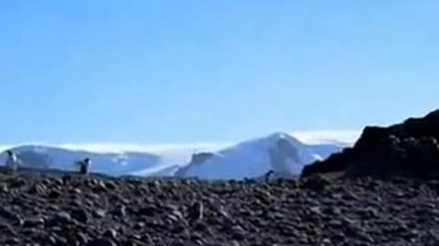 Остров Кинг Джордж