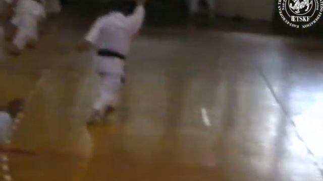 Asai kata Nijushiho. Video from Shihan Dormenko Andrey 8 Dan, chief-instructor of Russia смотреть онлайн