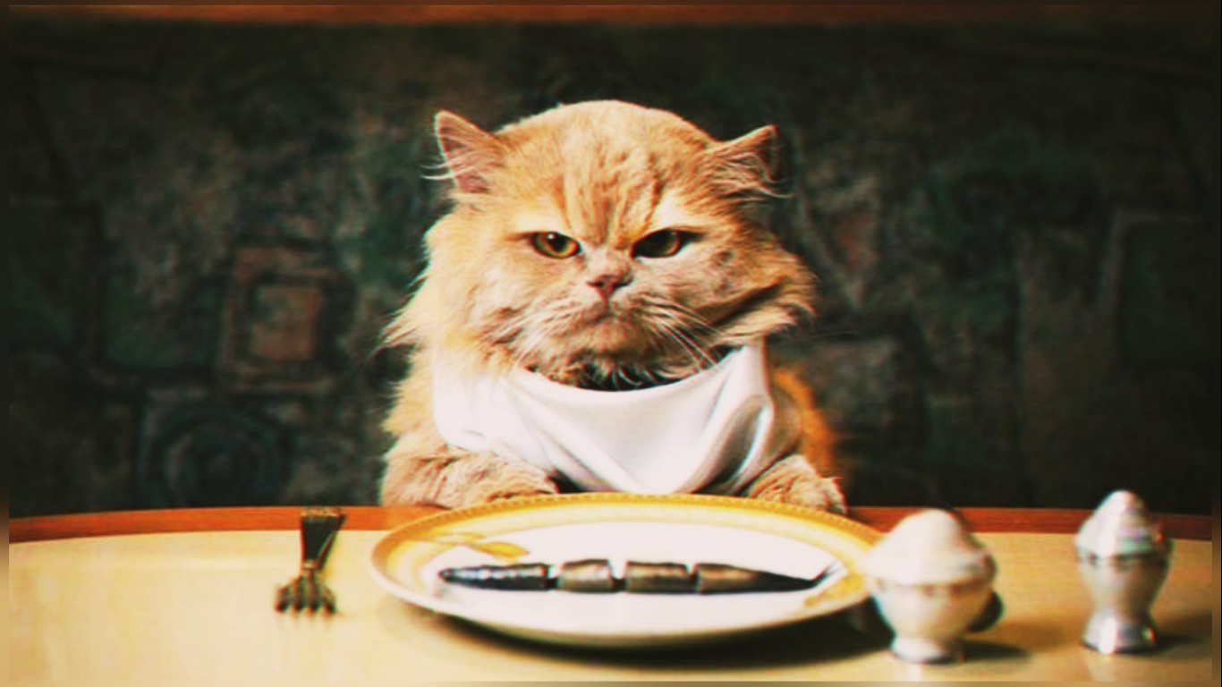 Рецепты простых блюд, которые можно приготовить быстро