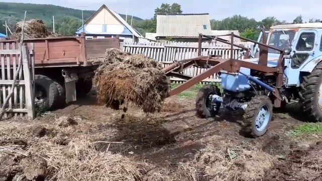 Загрузка навоза! Т-40АМ с самодельным куном! смотреть онлайн