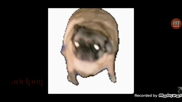 Salami Salami Salami Gulp Gulp Gulp (normal speed) смотреть онлайн