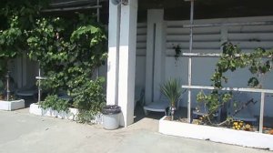 Прогулка по территории санатория "Аврора".  Аше, Лазаревское 2013