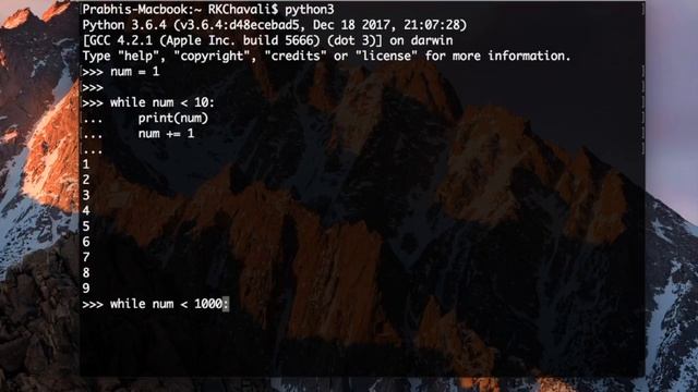 Python 3.7 - 8 - While loops смотреть онлайн
