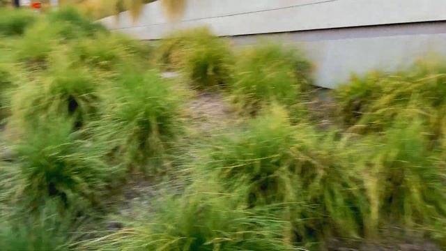 Где лутаются звезды? Отдых в Лос-Анджелес, Вест Голливуд. Los Angeles, California смотреть онлайн