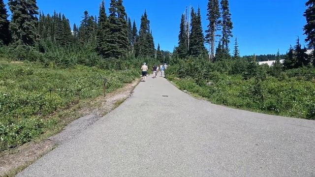 Штат Вашингтон. Самый красивый Национальный парк. Гора Рейнир | Mount Rainier National Park смотреть онлайн