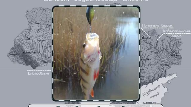 Водосховища та канали України смотреть онлайн