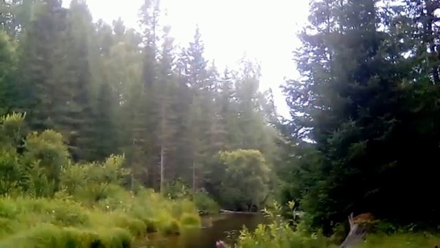 Наше тело - храм для Духа Святаго. Нечисть и скверну в тело не пускать.. смотреть онлайн