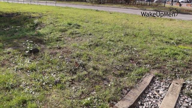 Это город Королев. Заброшенная железная дорога. Часть1 смотреть онлайн