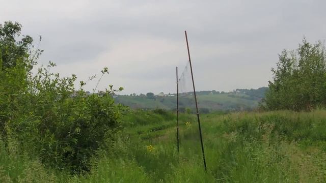 Ловля чечевицы смотреть онлайн