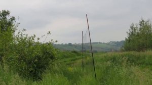 Ловля чечевицы