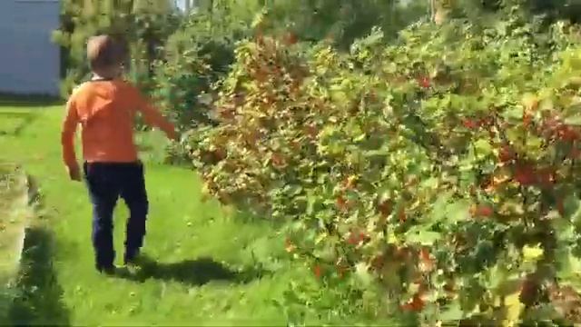 Как устроить квест? Мистический Квест для брата!? смотреть онлайн