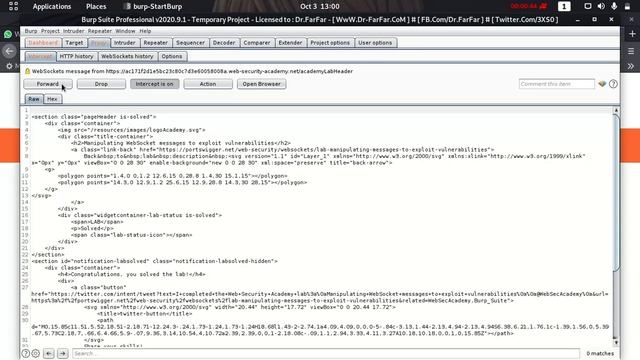 Manipulating WebSocket messages to exploit vulnerabilities смотреть онлайн