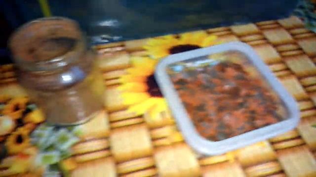 Кормление мальков Скалярий сухим кормам смотреть онлайн