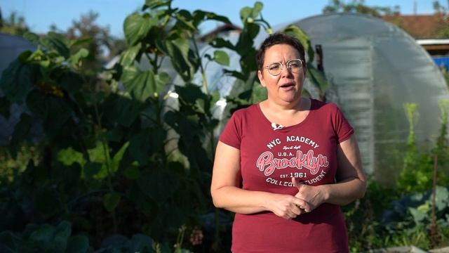 ПОЧВА БУДЕТ, КАК НОВАЯ! БЕЗ ПЕРЕКОПКИ С ПОМОЩЬЮ СИДЕРАТОВ смотреть онлайн