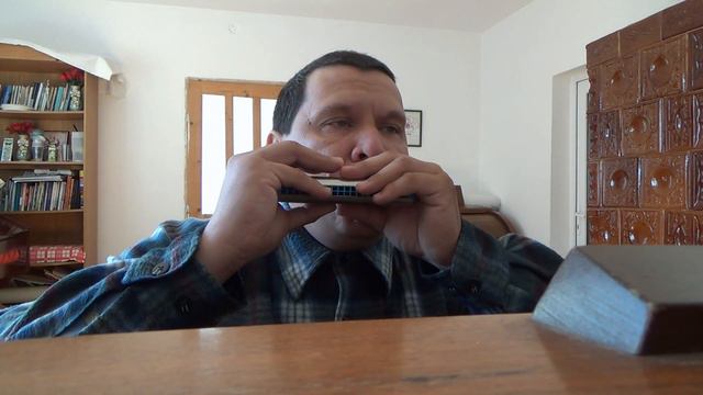 I Am Coming | Vermona C/G смотреть онлайн